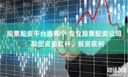 股票配资平台选哪个 专业股票配资公司：助您资金杠杆，投资获利
