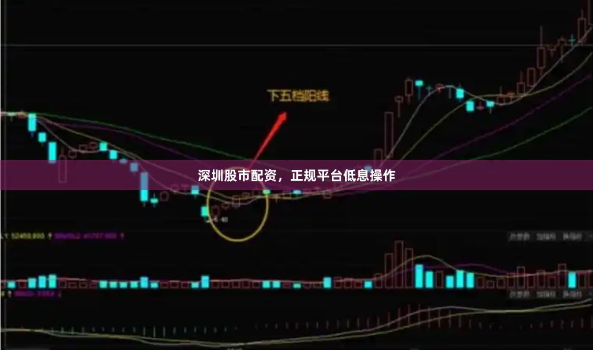深圳股市配资，正规平台低息操作